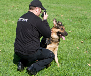 security guard with a police dog